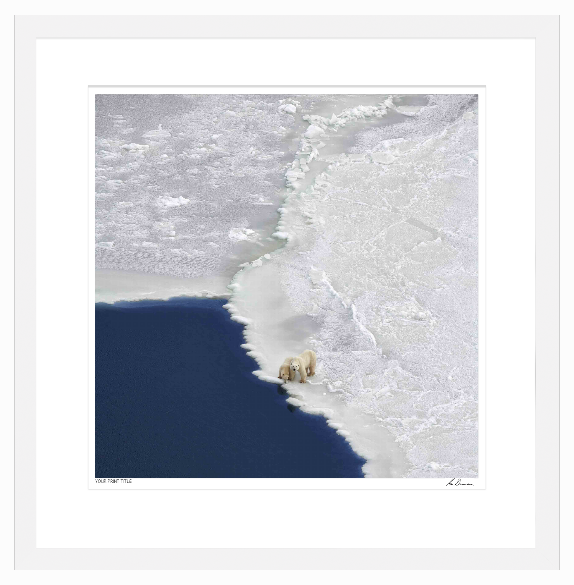 Large Limited Edition On the Edge. Framed Dimensions 1235mm (h) x 1220mm (w). Registration Number 48/300