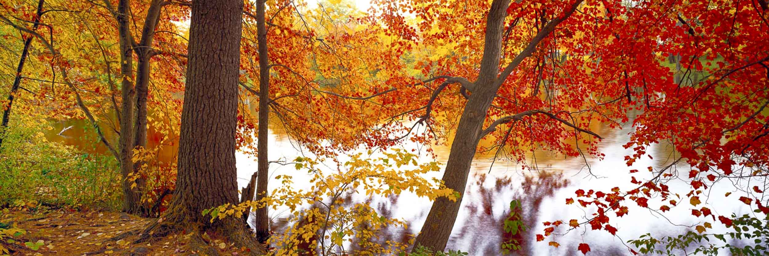 Fall Tranquility, Ma