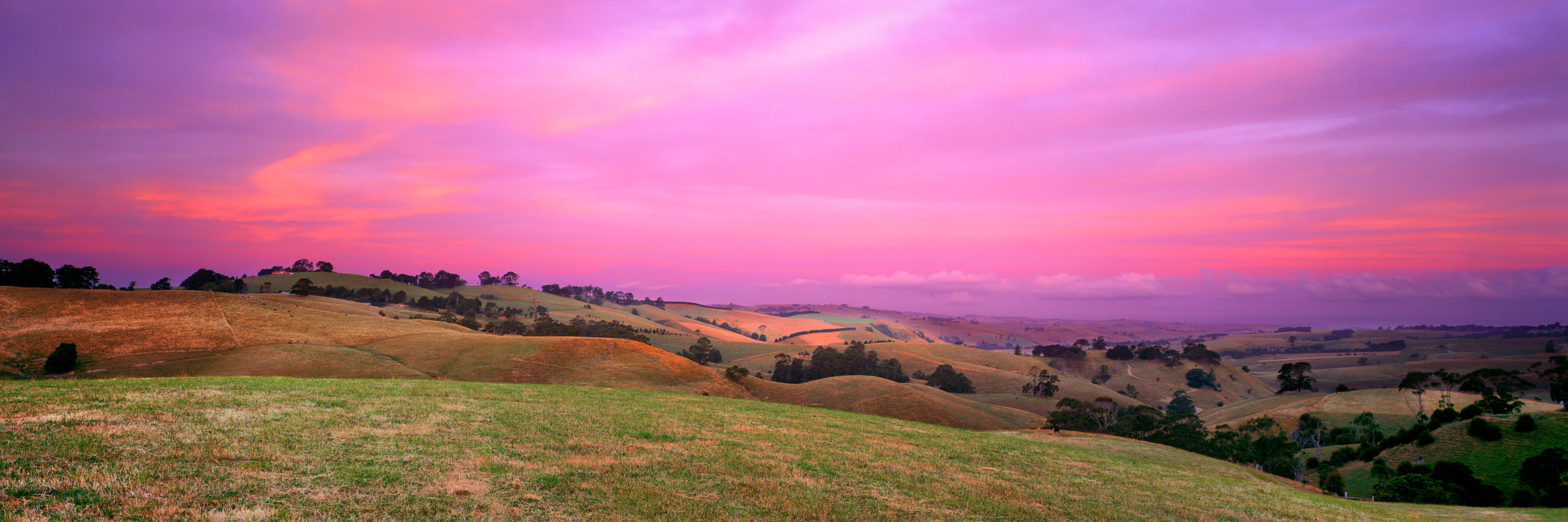 Twilight Glow, Korumburra, VIC